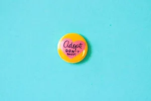 Adopt Don't Shop Pin