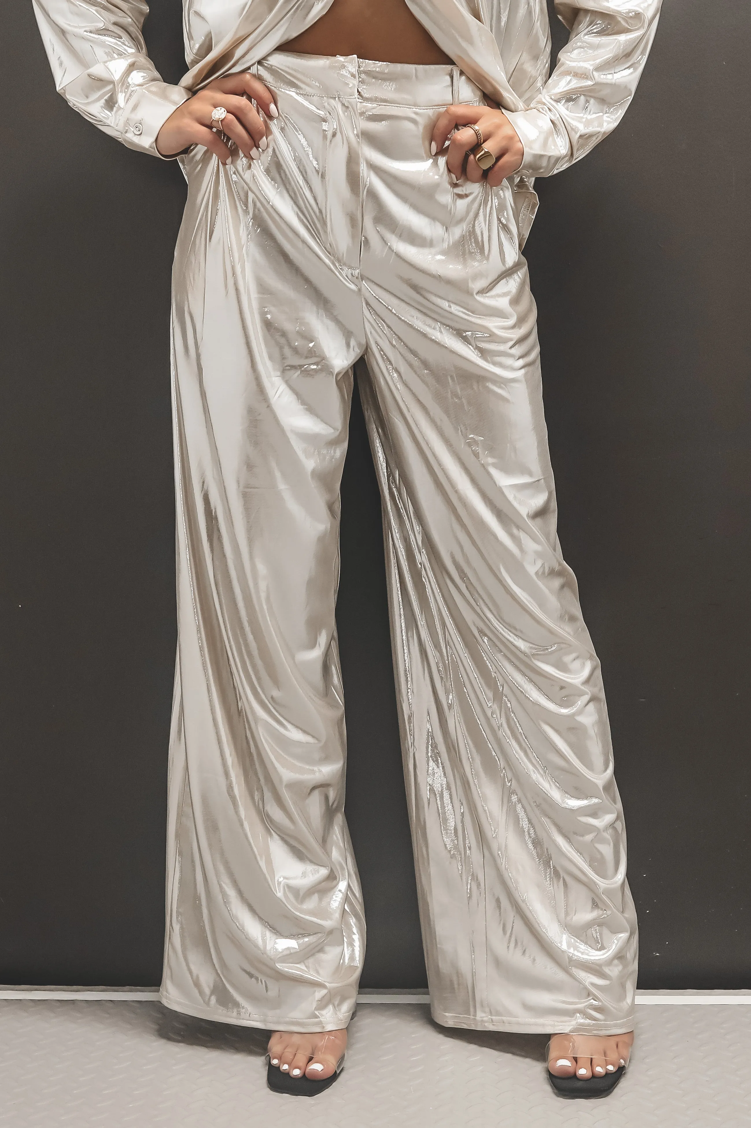 DEAL An Entrance Was Made Metallic Pants