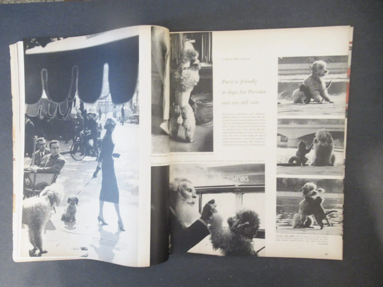 Look Magazine Dec 13, 1955