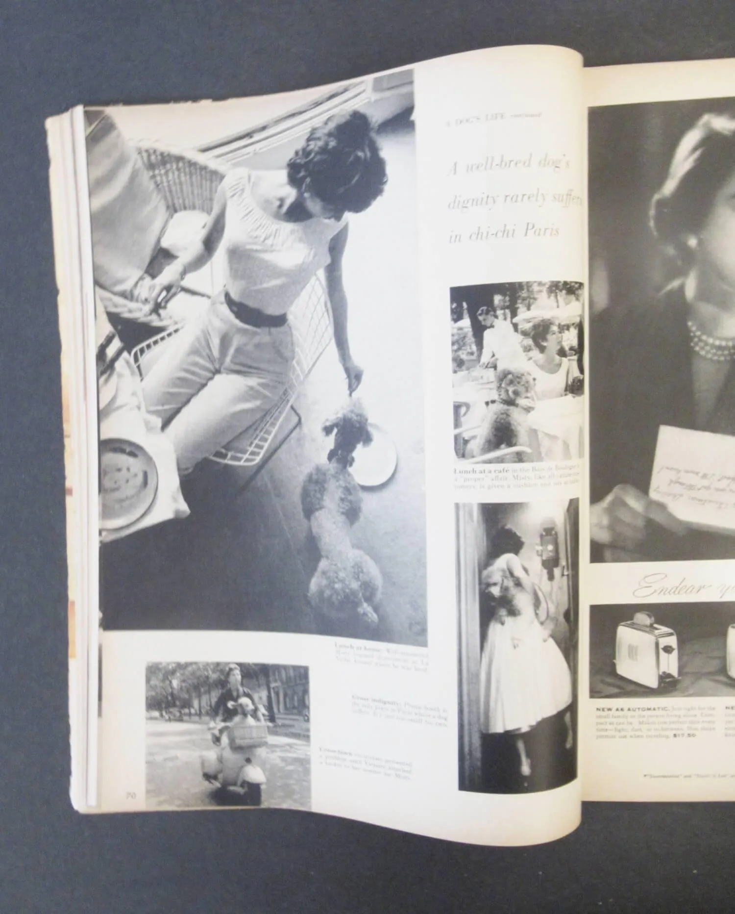 Look Magazine Dec 13, 1955