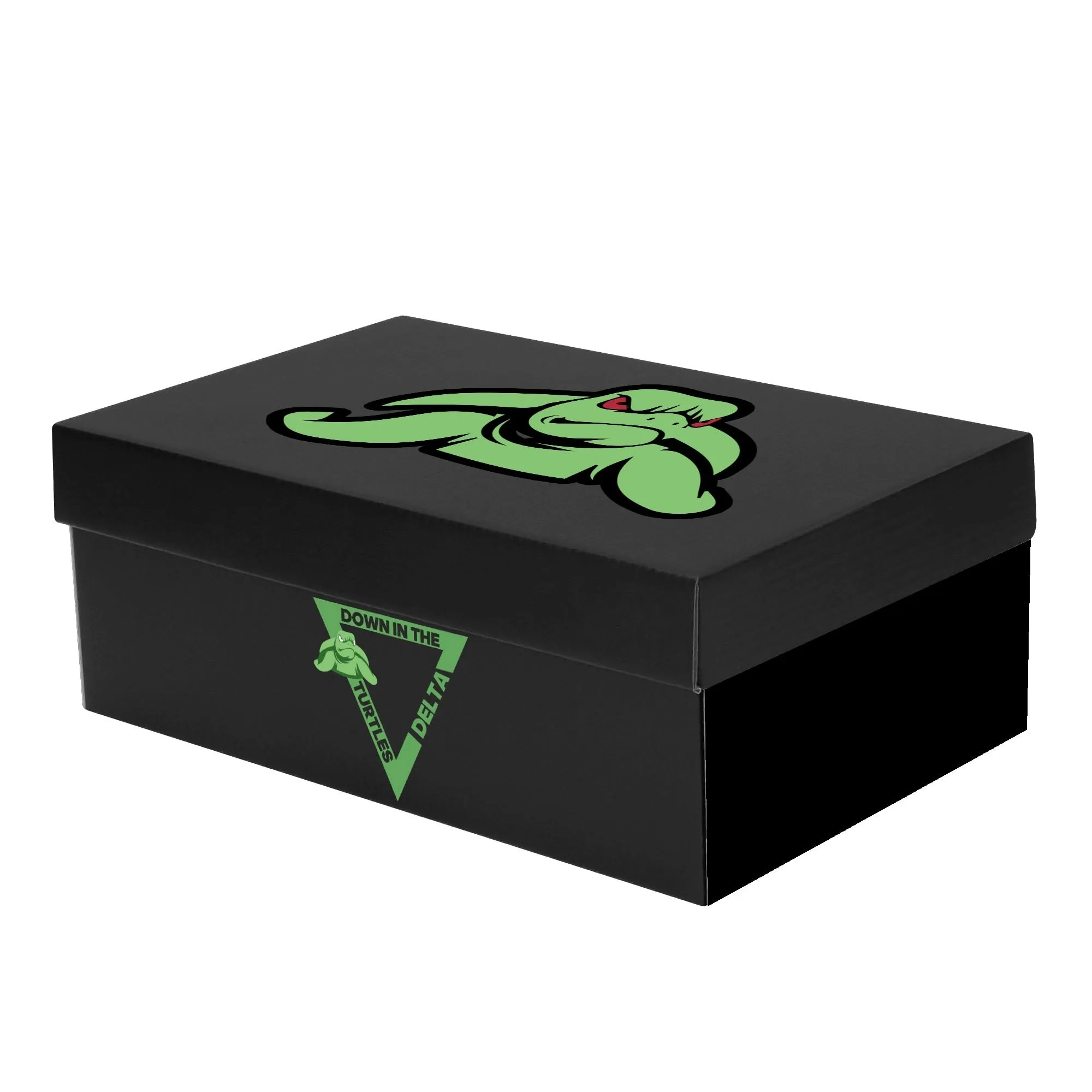 Turtles Mens Low Top Canvas Shoes - Customized Tongue