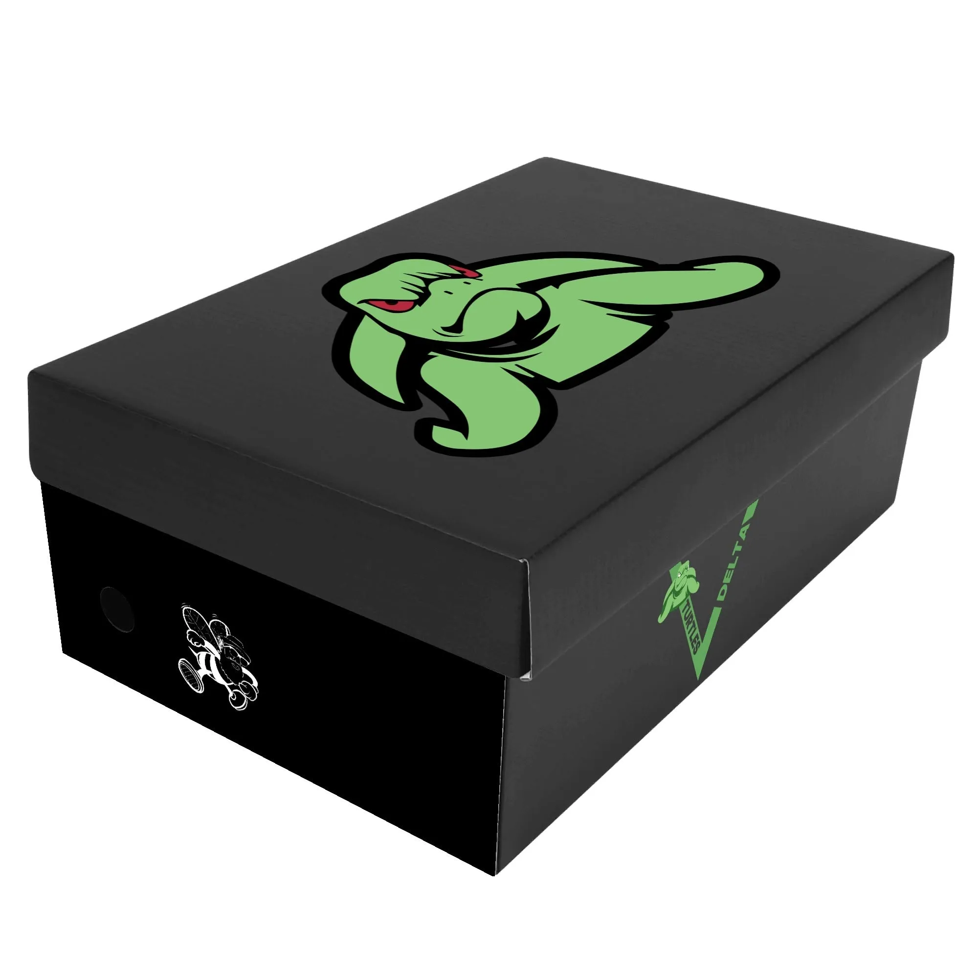 Turtles Mens Low Top Canvas Shoes - Customized Tongue